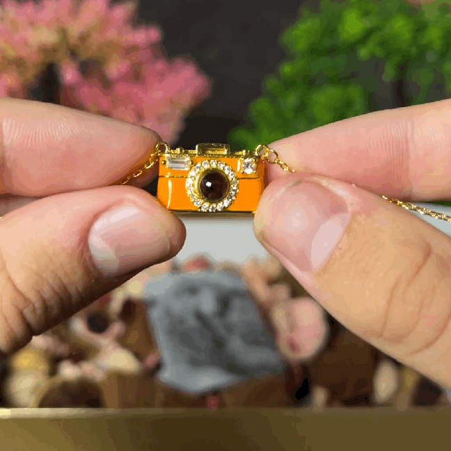 Camera Necklace