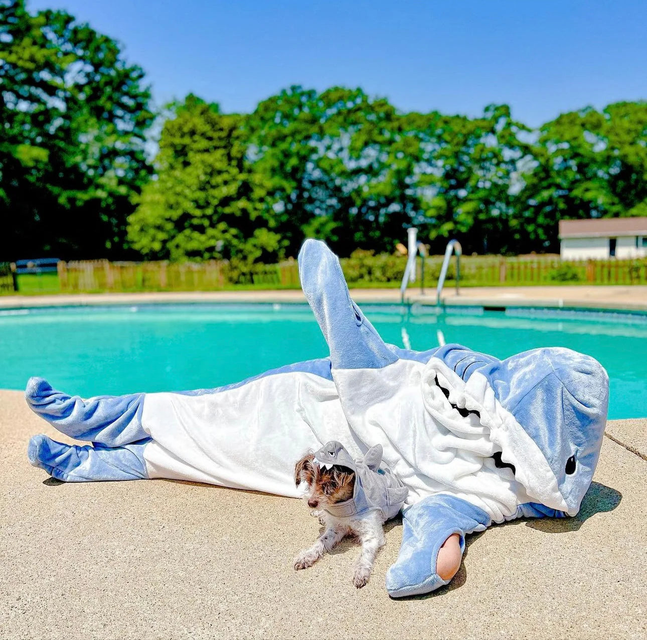 Shark Blanket