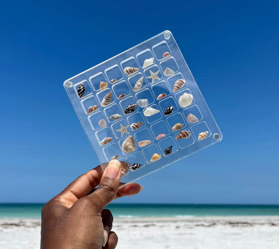 Seashell Display Case