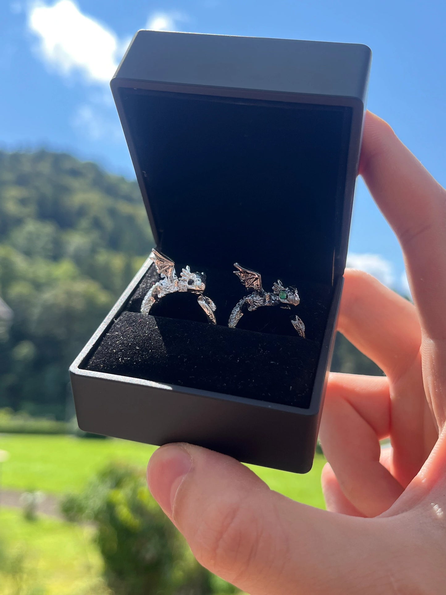 Dragon Rings