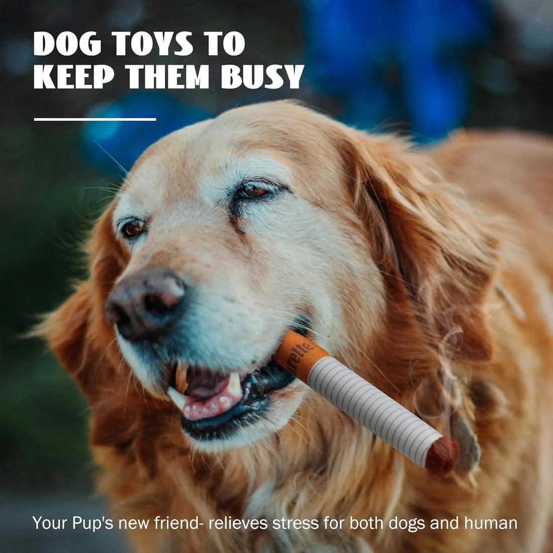 Dawg Toy