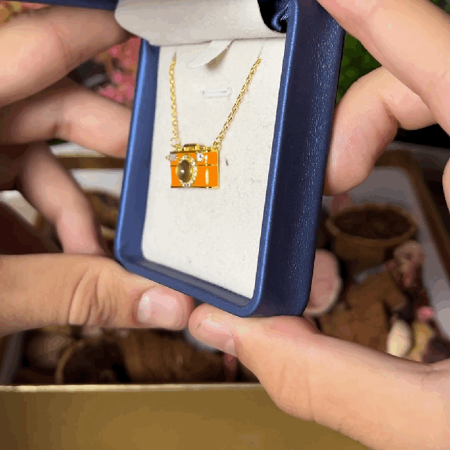 Camera Necklace