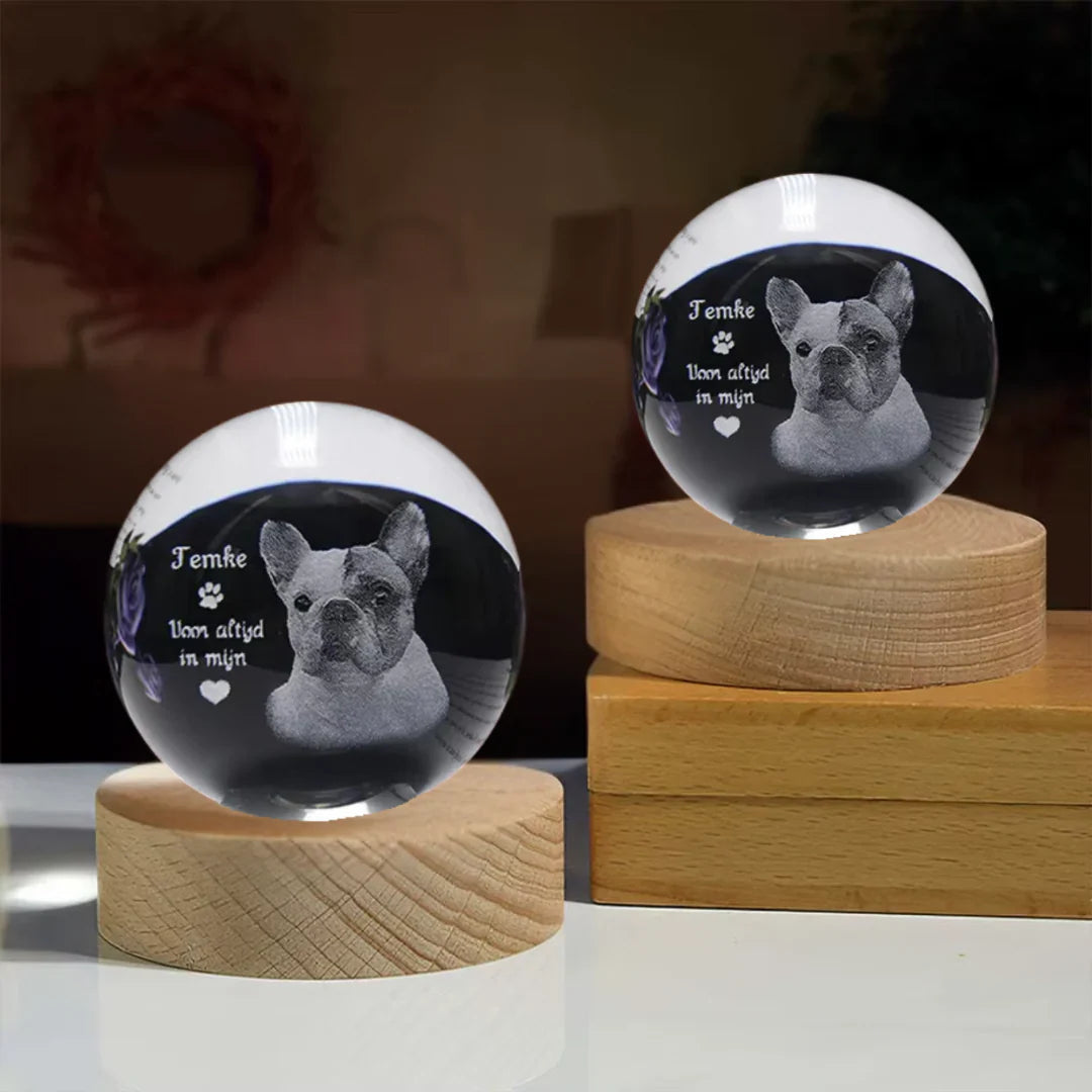 Memory Orb