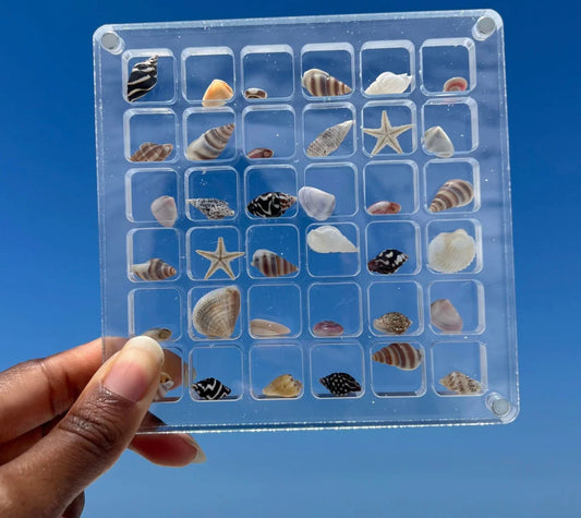 Seashell Display Case