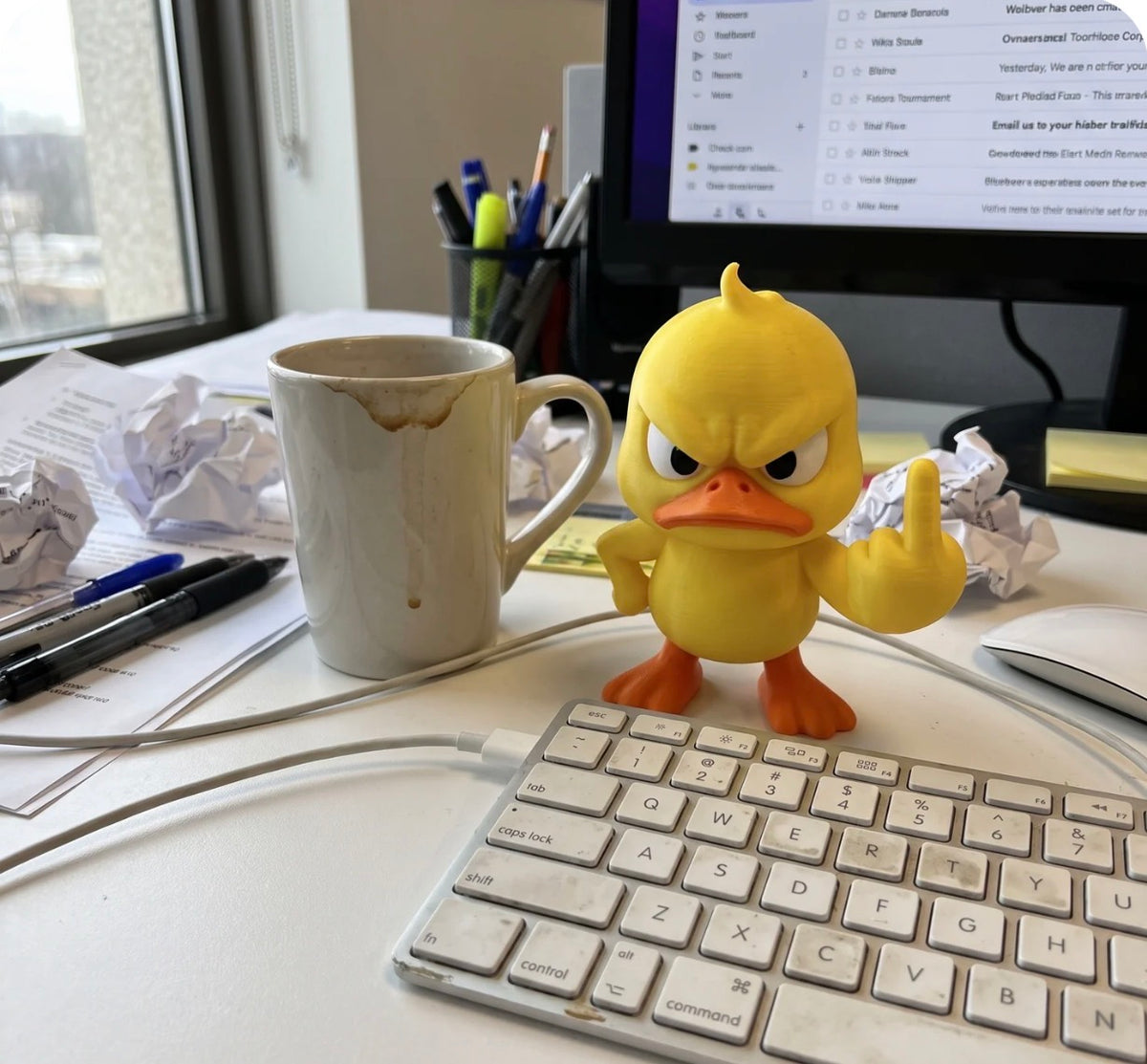 Funny Ducks