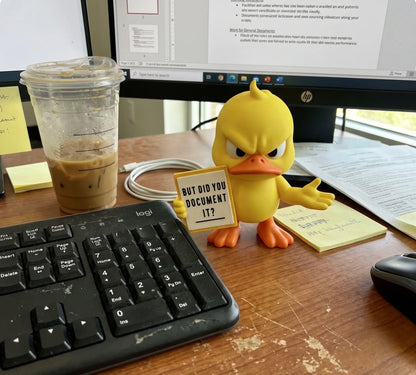 Funny Ducks