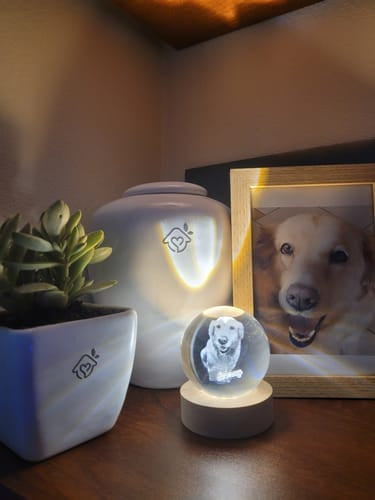Memory Orb