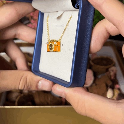 Camera Necklace